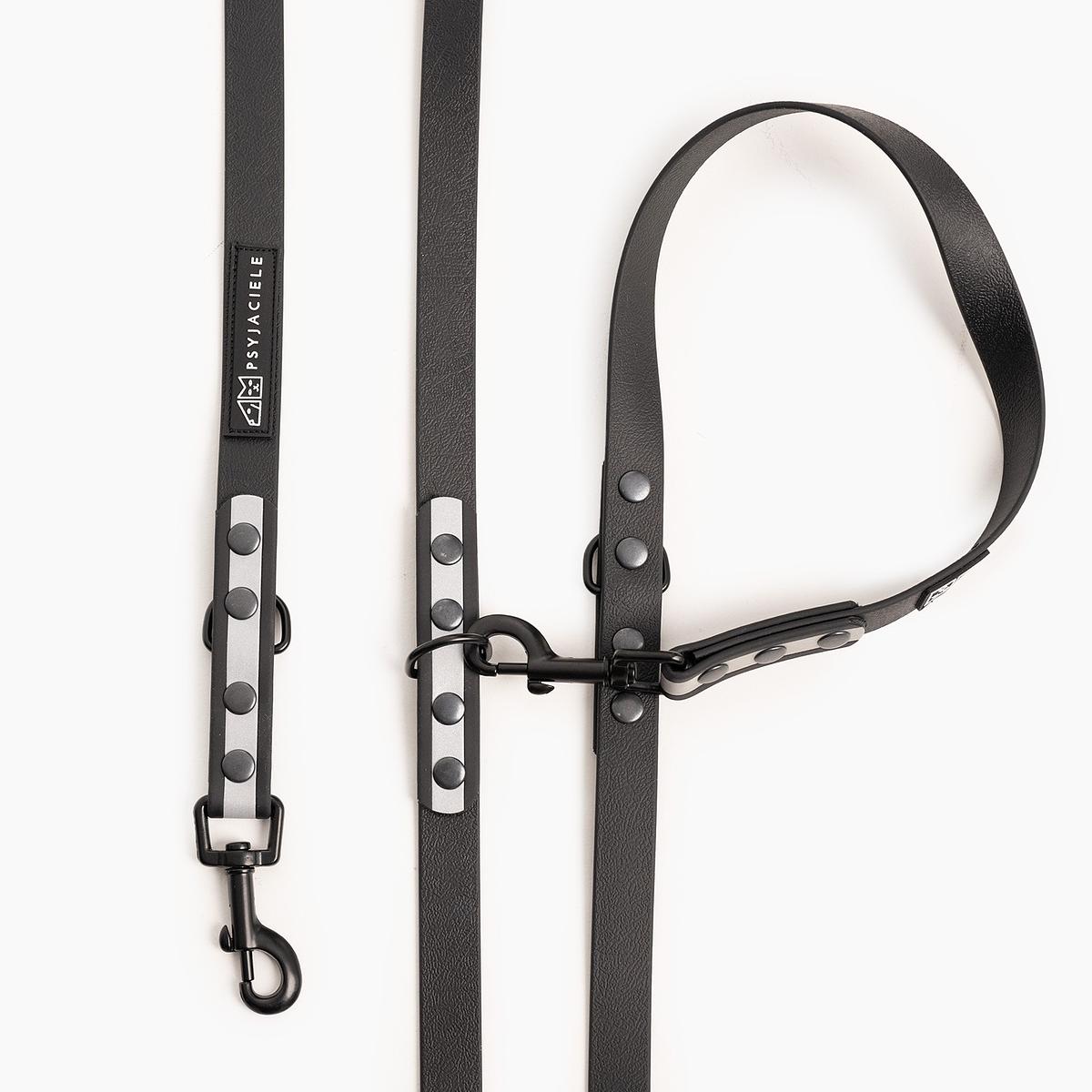 "Reflection" Biothane® leash