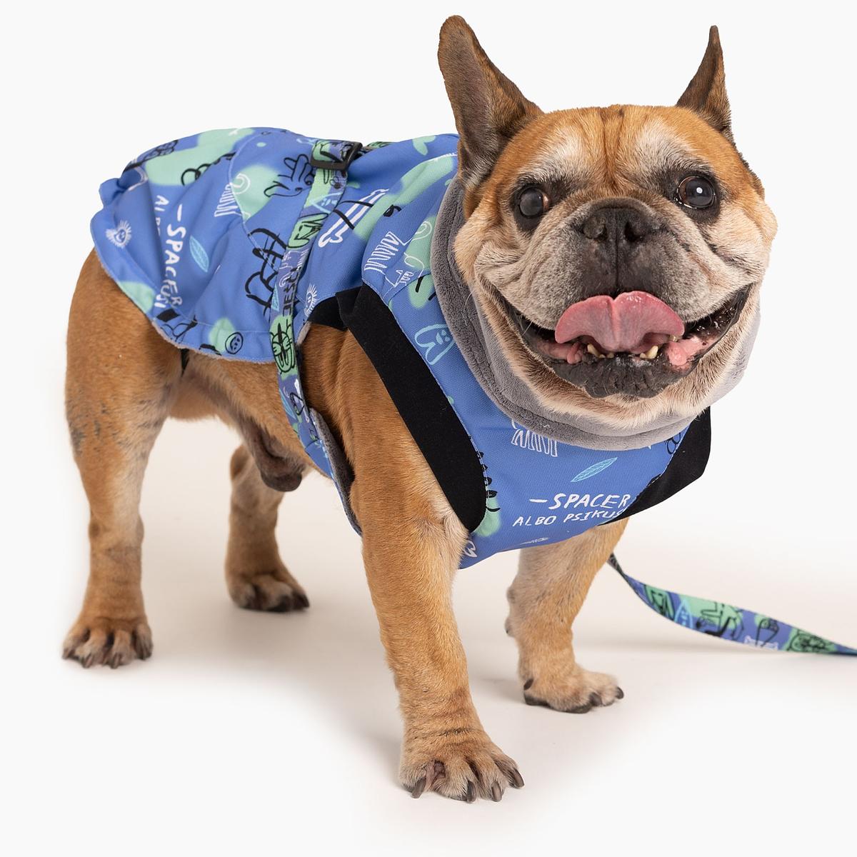 Dog jacket "Walk or treat"