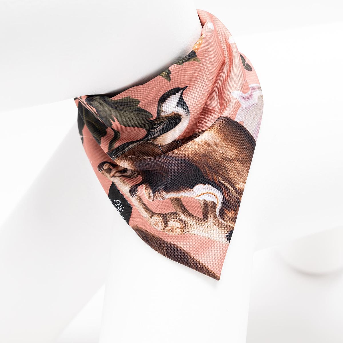 Bandana "Play with my nuts" collar