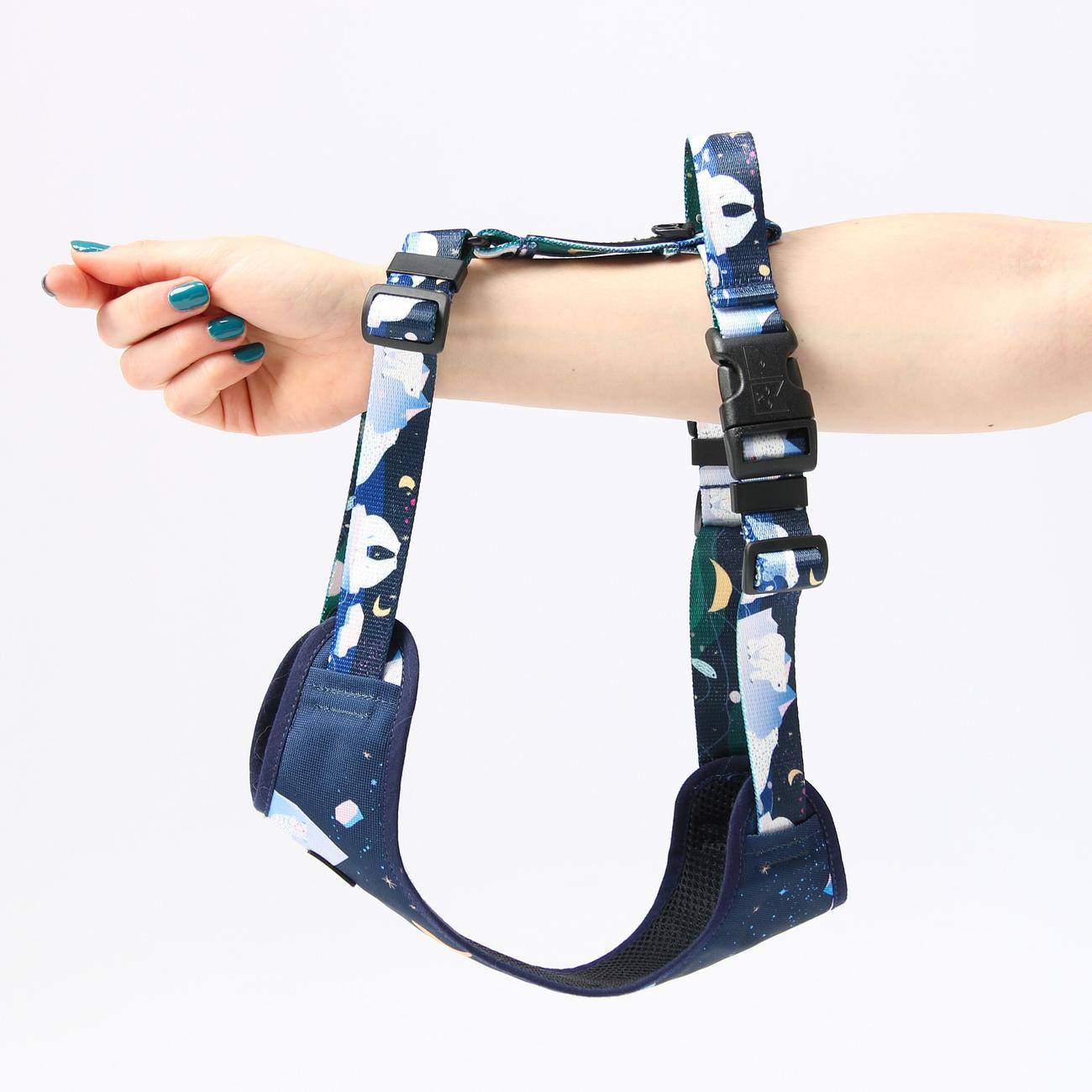 "Polar pattern" pressure-free harness