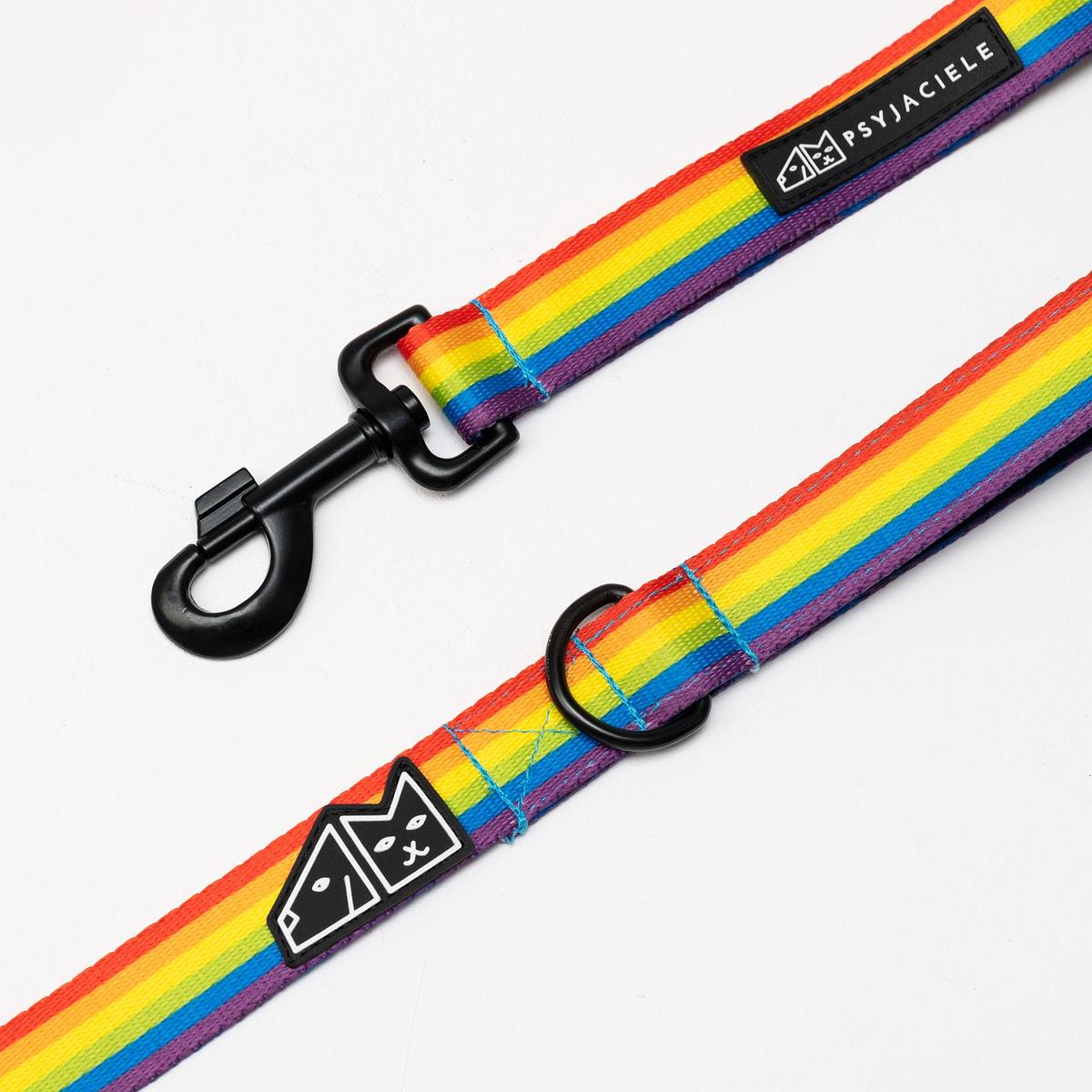 "Love, Equality, Teethers" city leash