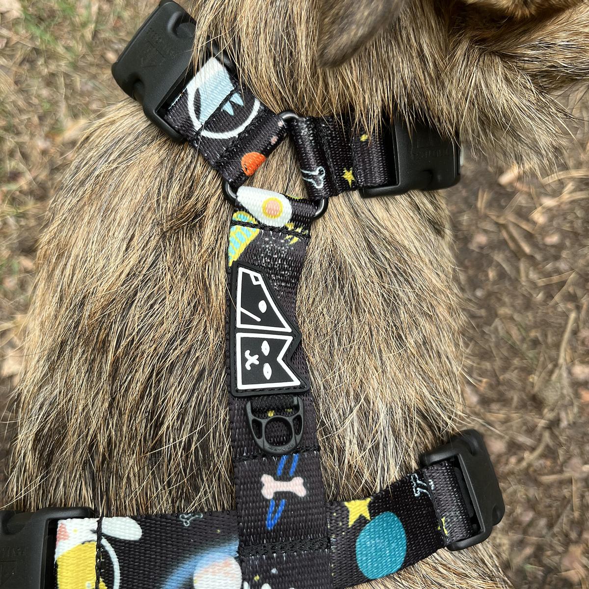 Stay-on guard harness "I need space"