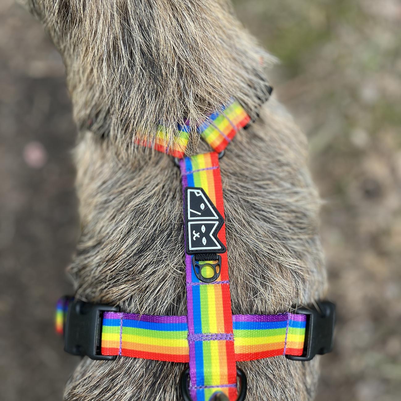 Stay-on guard harness "Love, equality, teethers"