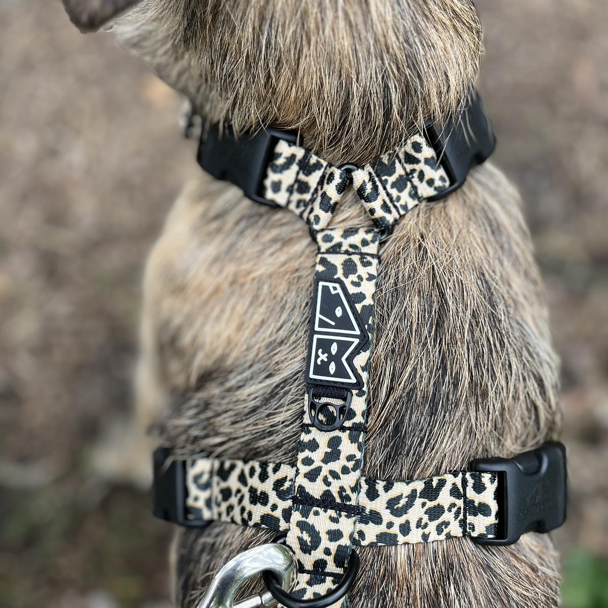 Stay-on guard harness "Respect the wildness" with leopard pattern on the top