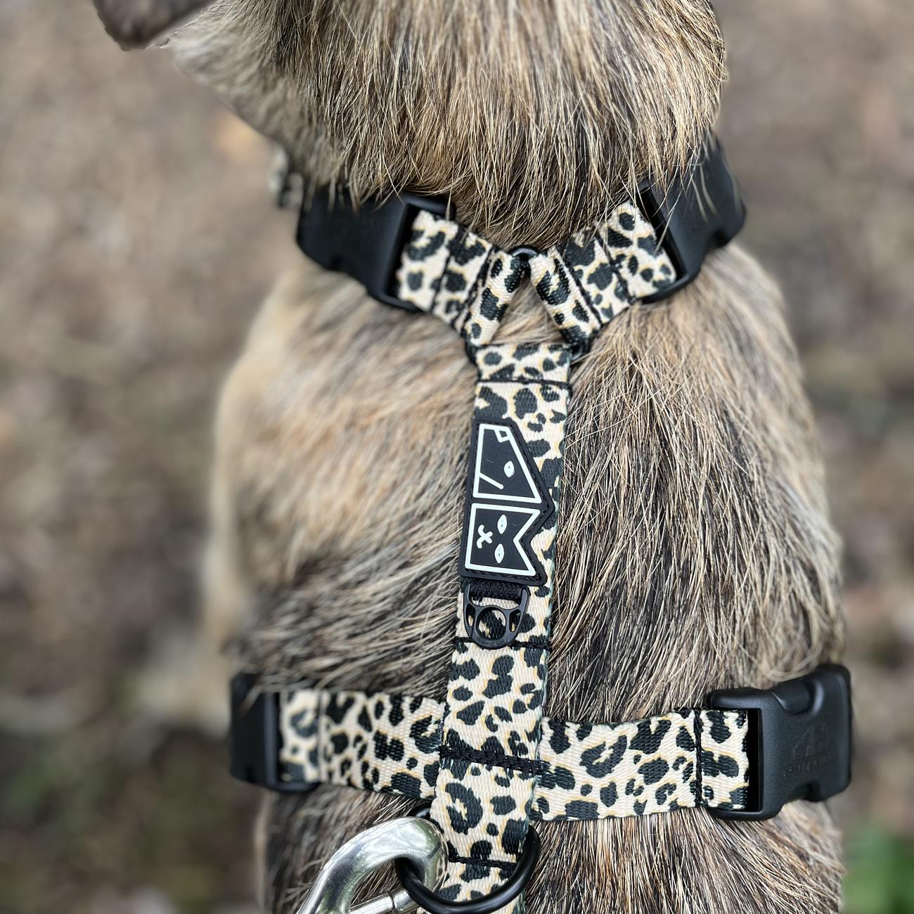 Stay-on guard harness "Respect the wildness" with leopard pattern on the top