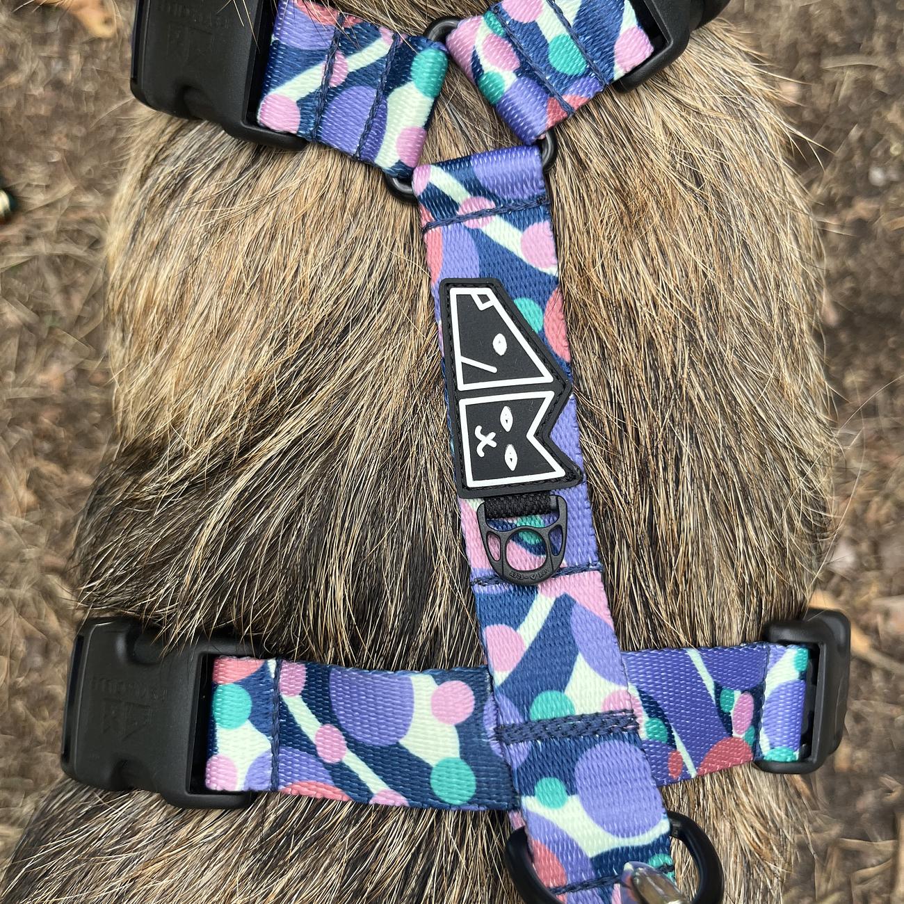 Stay-on guard harness "Downward dog"