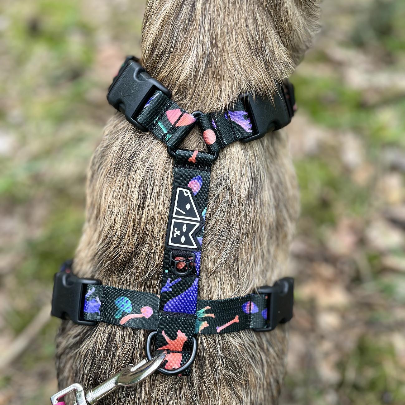 Stay-on guard harness "Psychedelic"