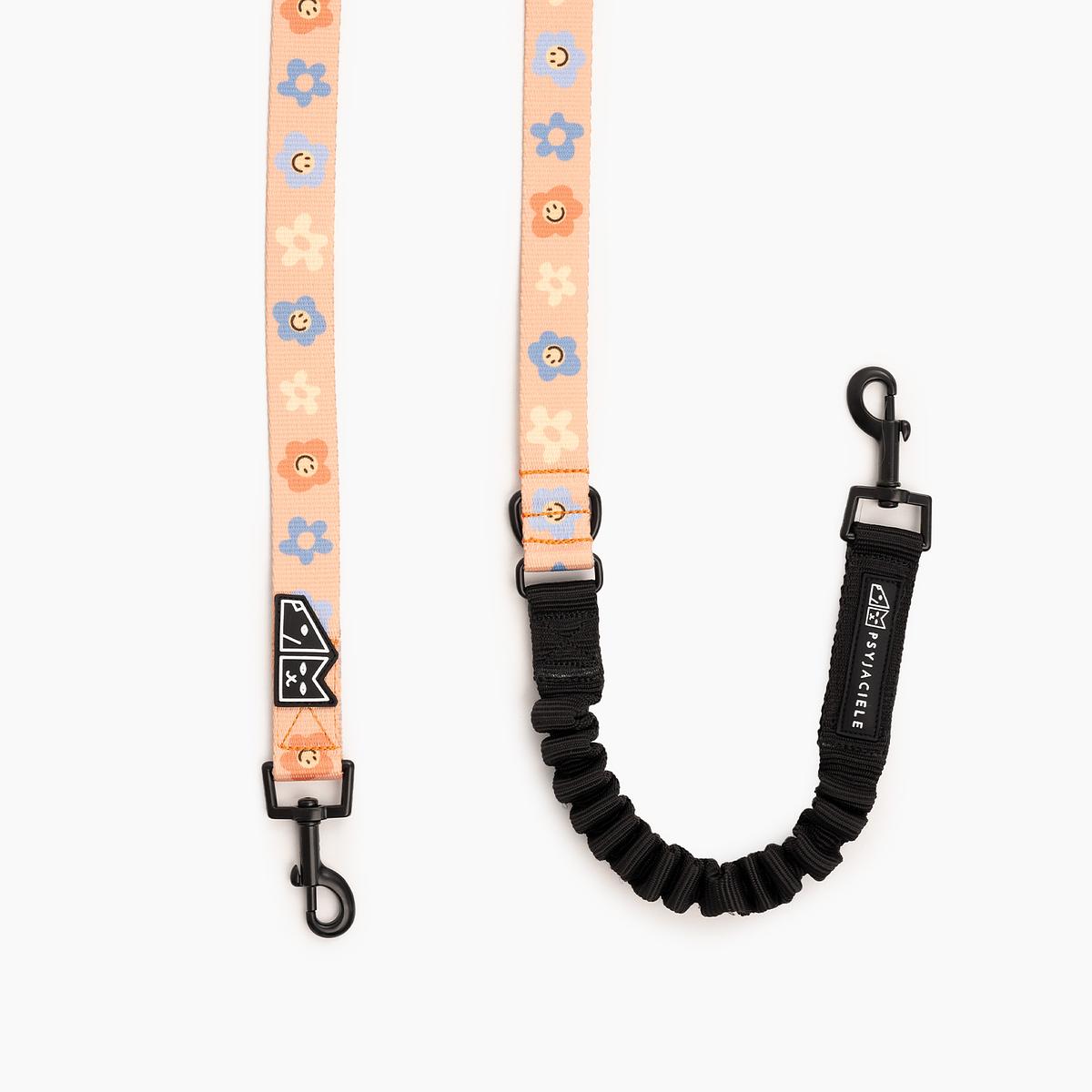 "Oopsy Daisy" leash with a shock absorber