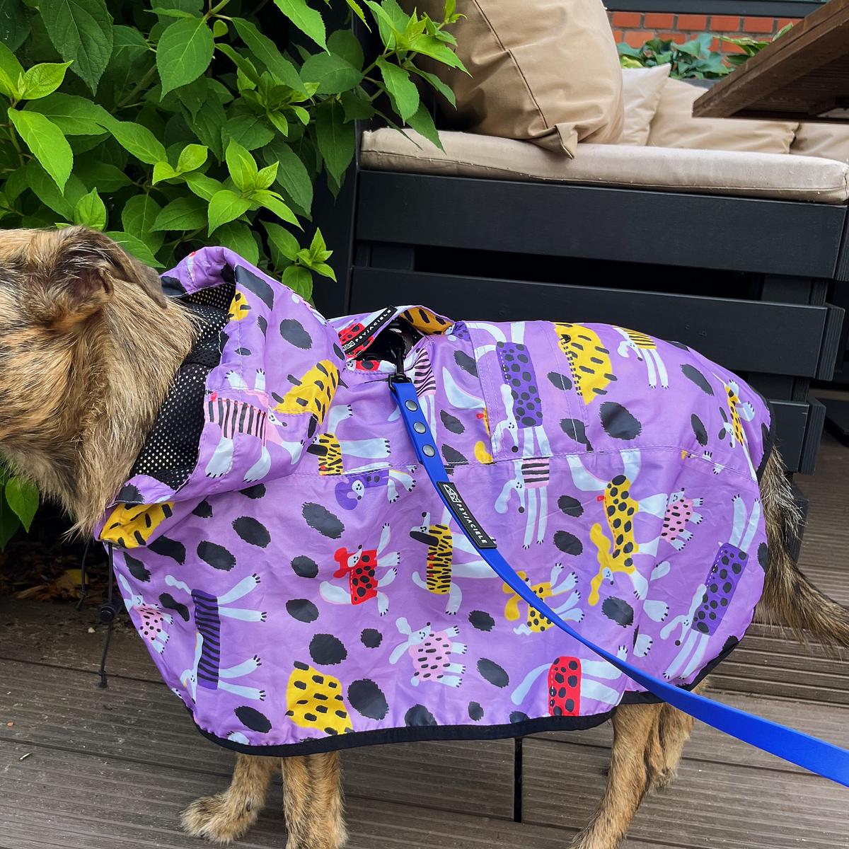 Raincoat for dog Doggo in sheep s clothing Psyjaciele