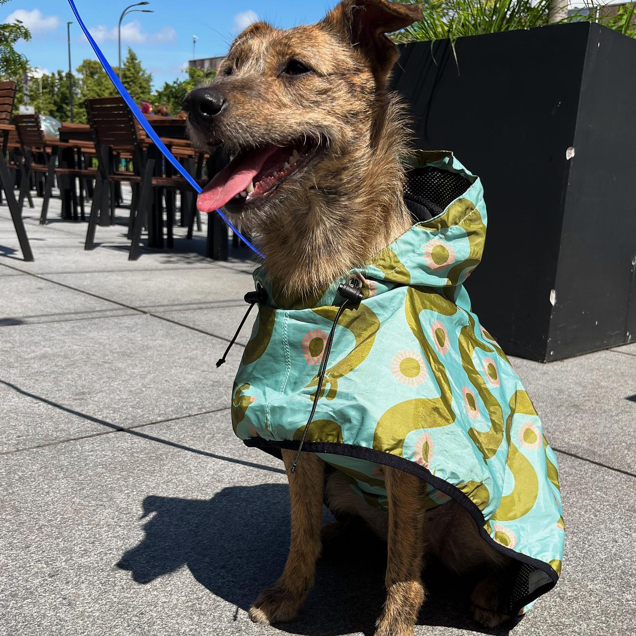 Raincoat for dog "Sausage dog"