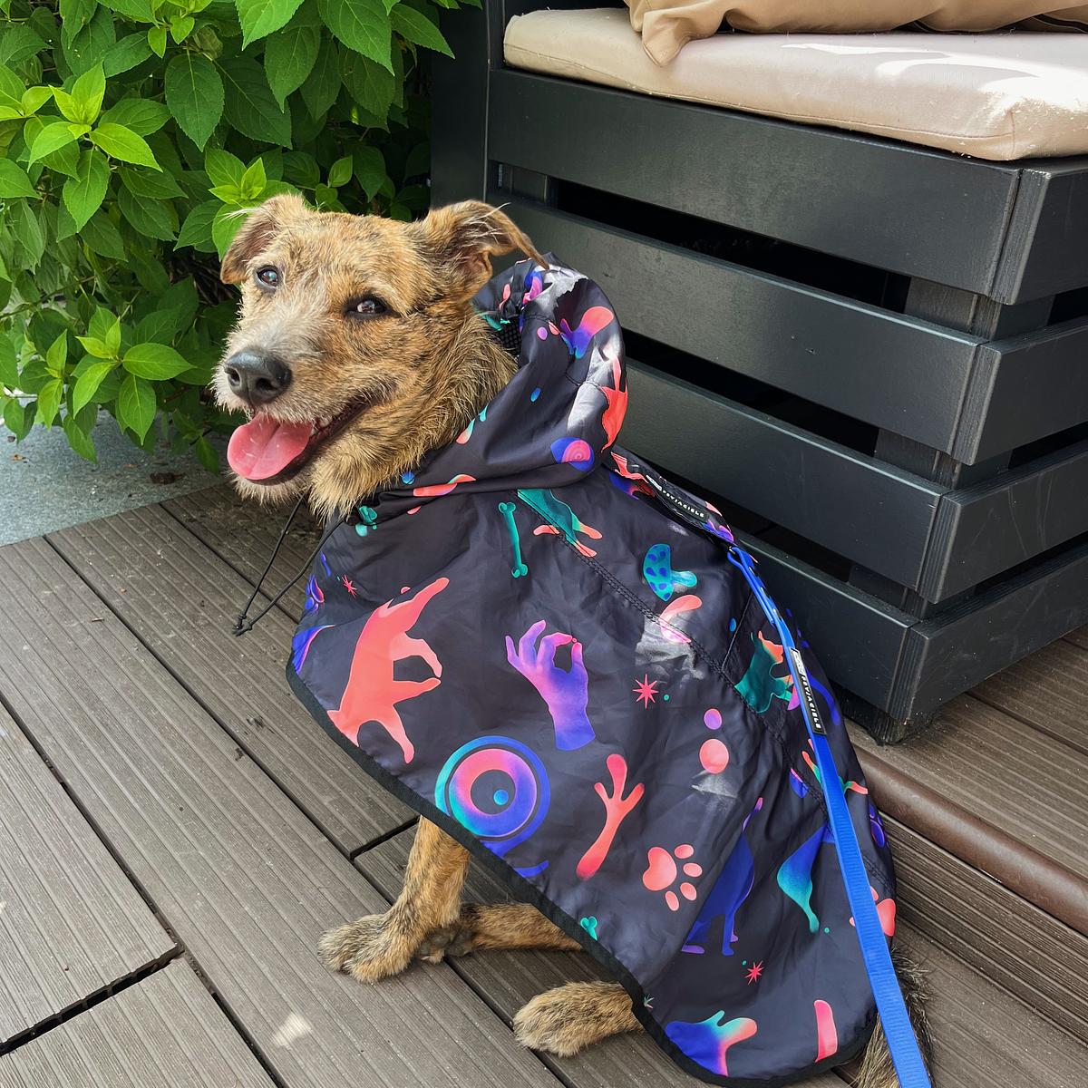 Raincoat for dog "Psychodelic"