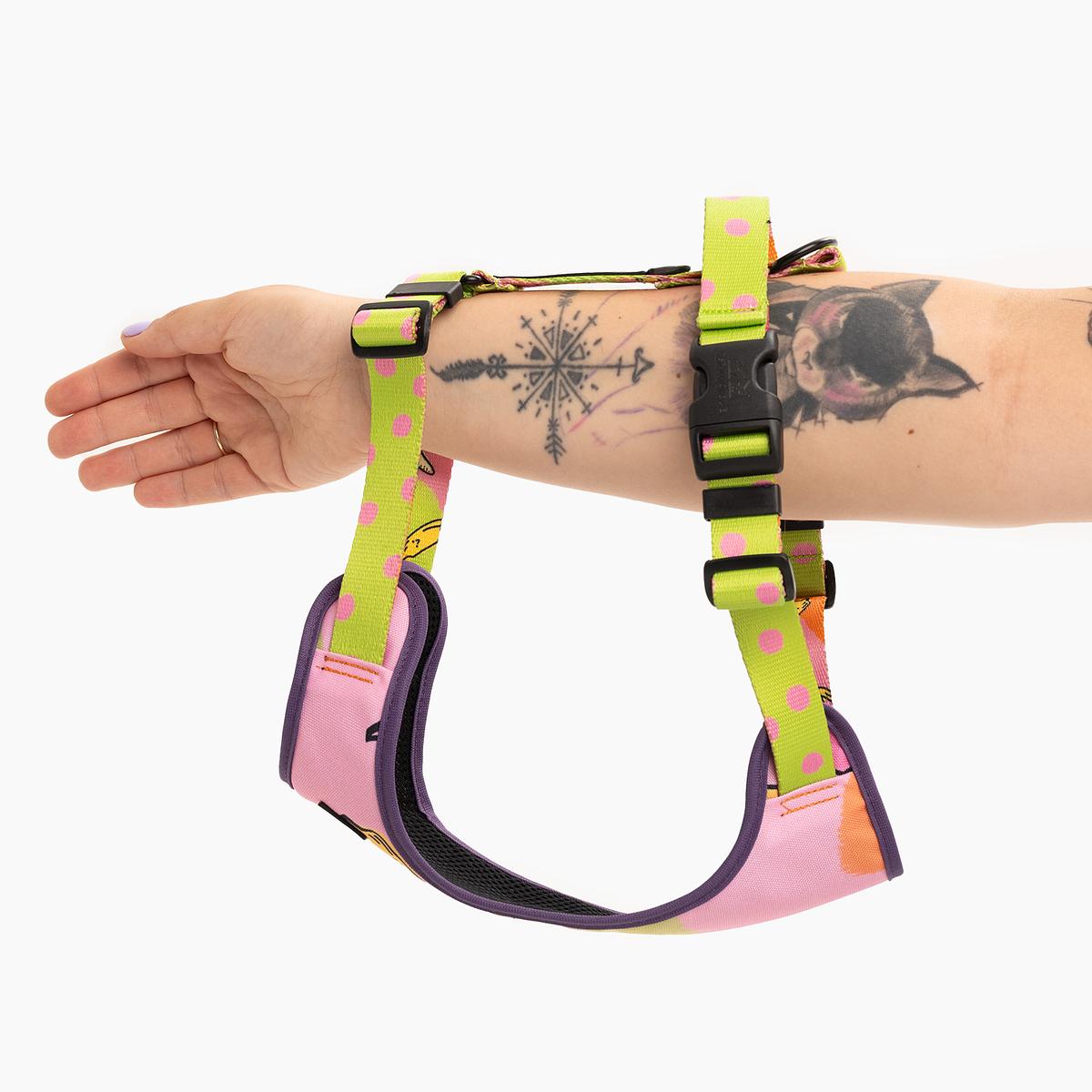 "We went bananas" pressure-free harness