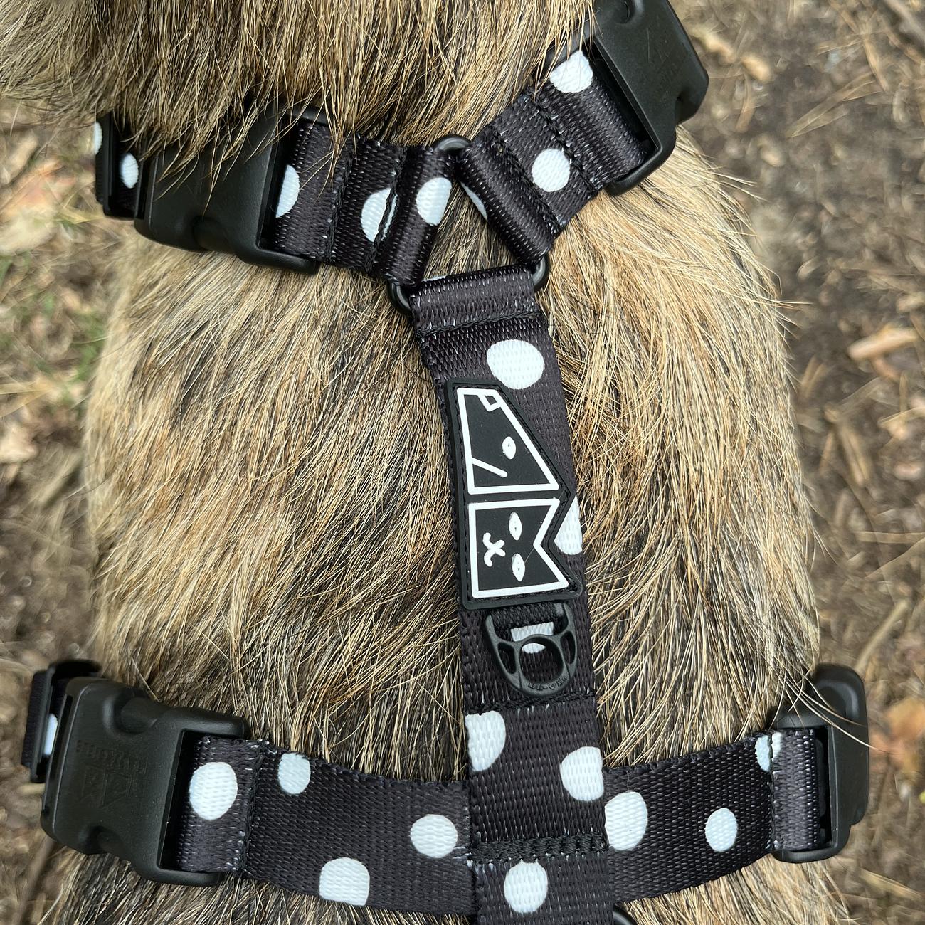 Stay-on guard harness "Adopt the dot"