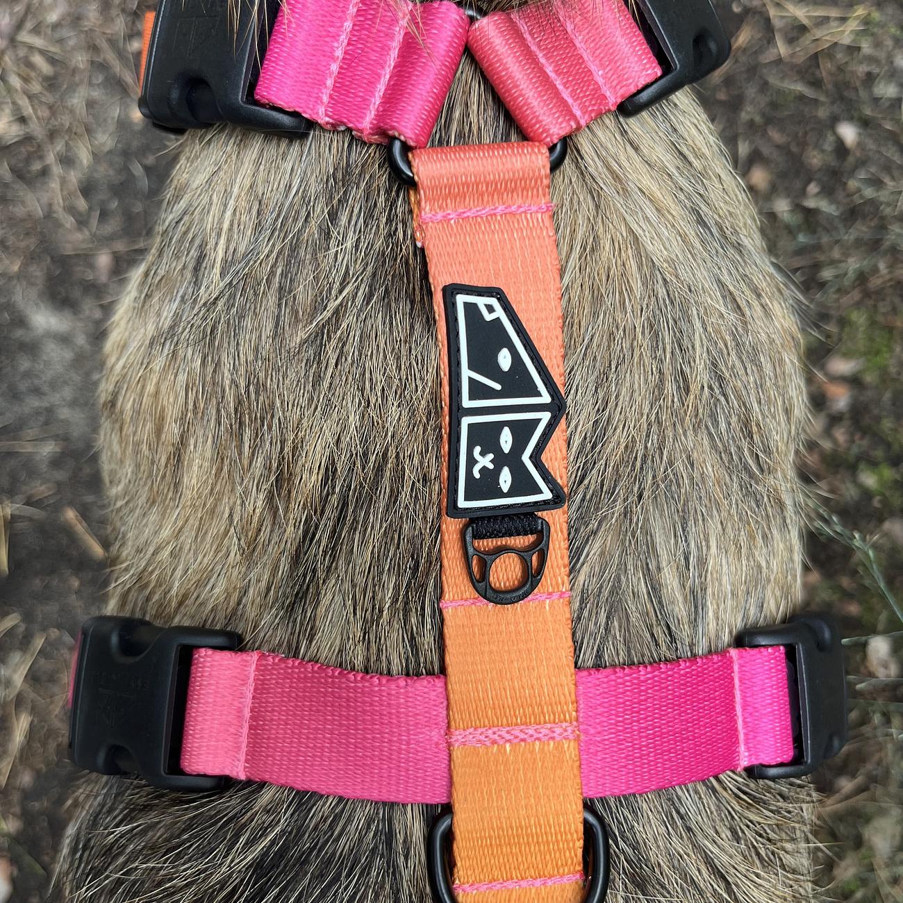 Stay-on guard harness "Under my ombrella" orange