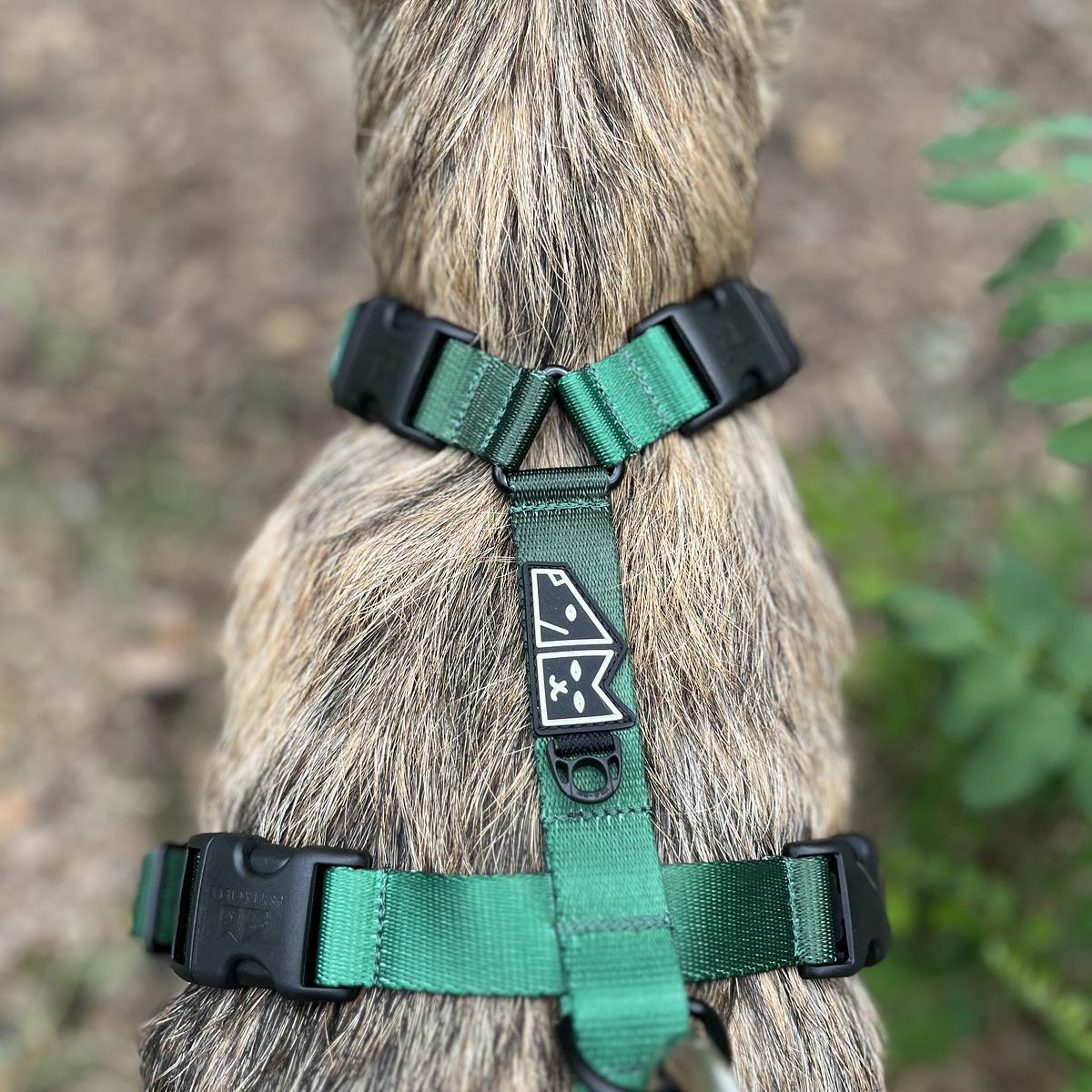 Stay-on guard harness "Under my ombrella" green