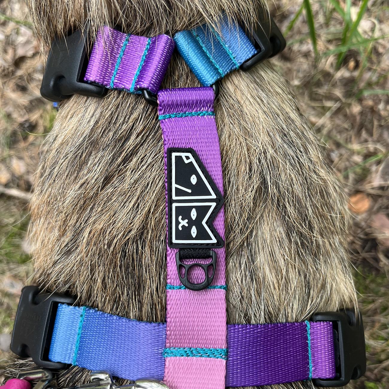 Stay-on guard harness "Under my ombrella" turqoise