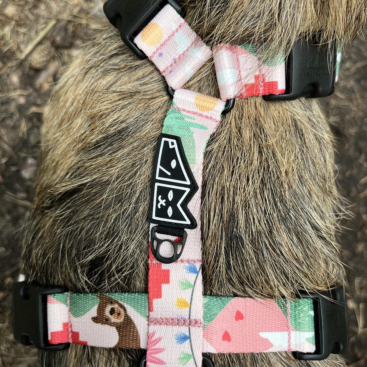 Stay-on guard harness "No drama lama"