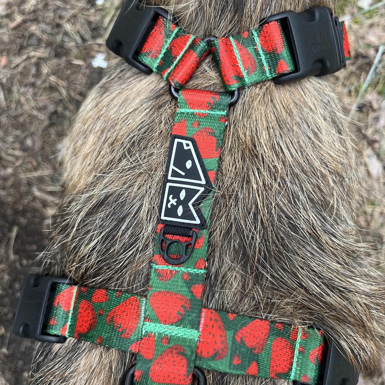 Stay-on guard harness "Strawberry Fields Forever"