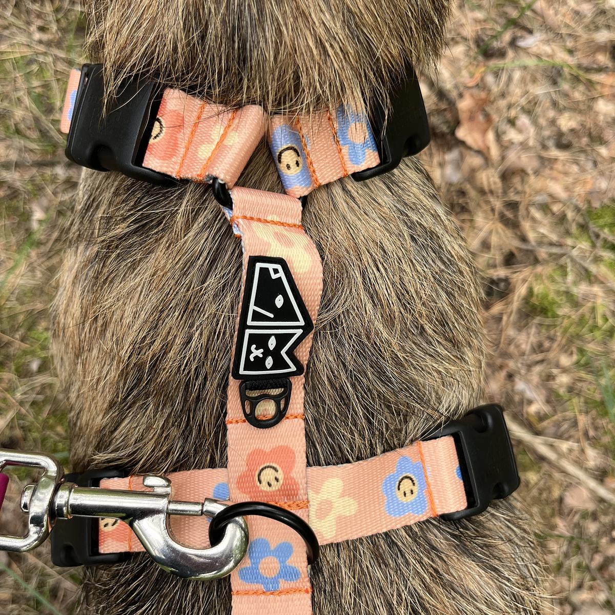 Stay-on guard harness "Oopsy Daisy"