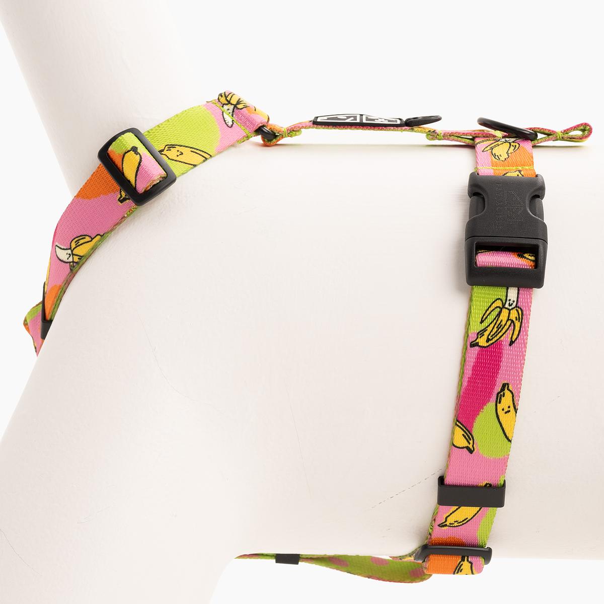 "We went bananas" dog or cat harness