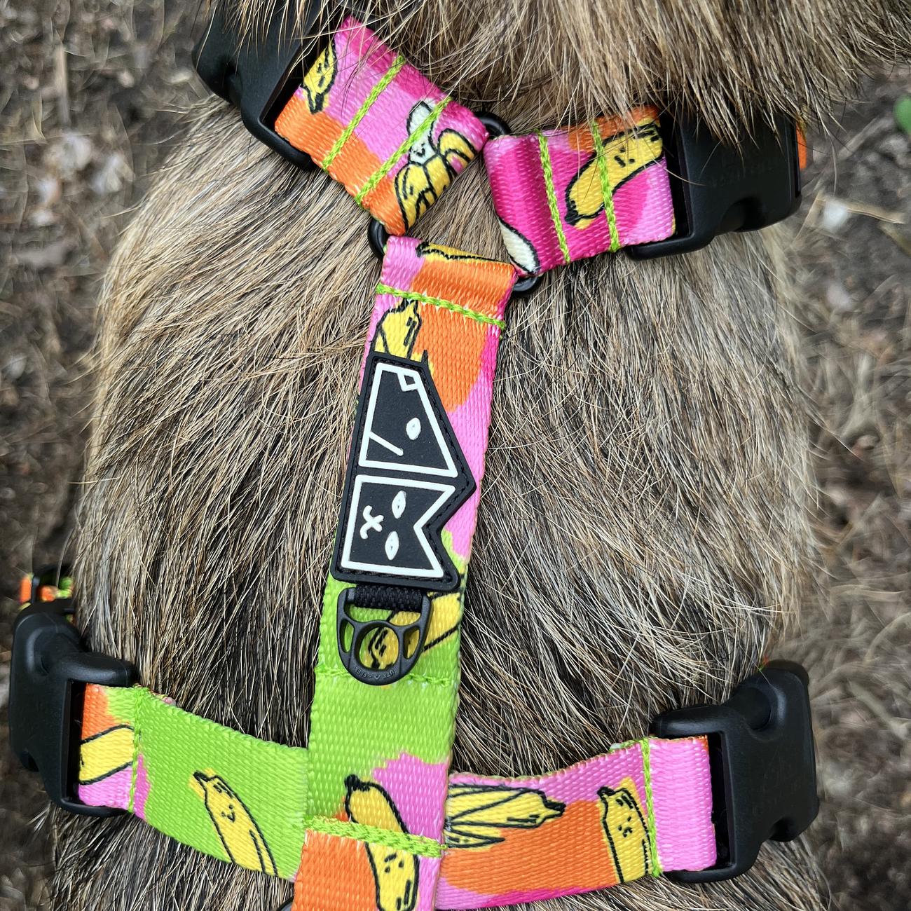 Stay-on guard harness "We went bananas"