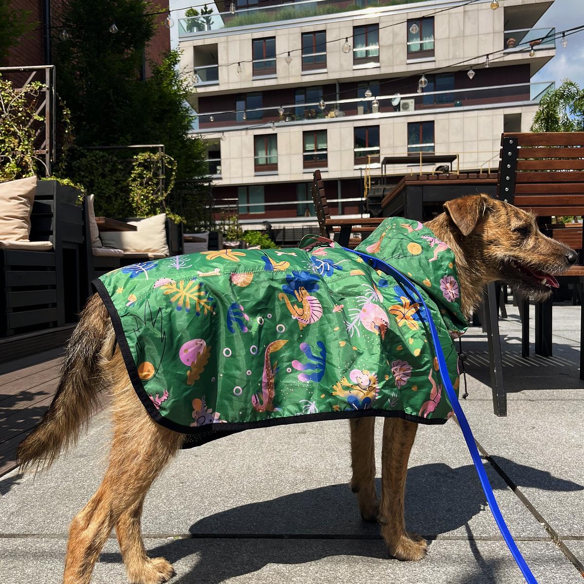 Raincoat for dog "Doggosaurus"