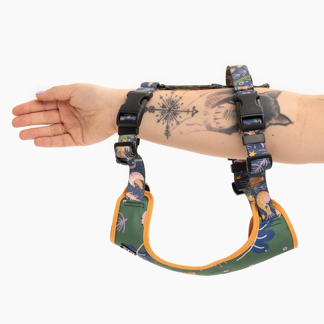 Stay-on pressure-free harness "Doggosaurus"