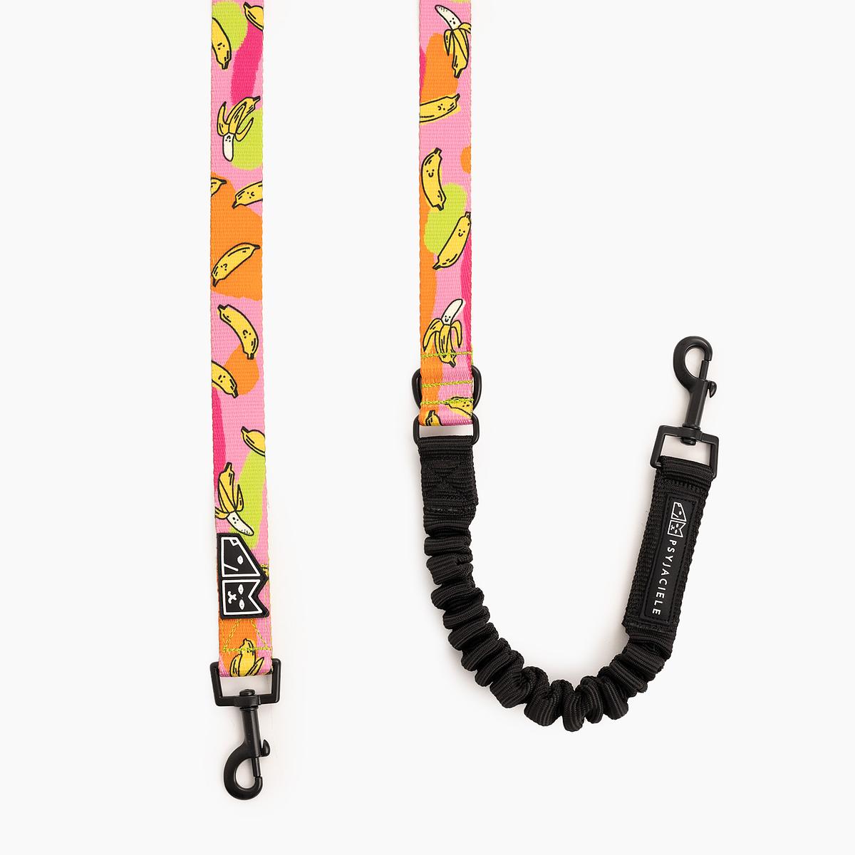 COPY OF "Oopsy Daisy" leash with a shock absorber