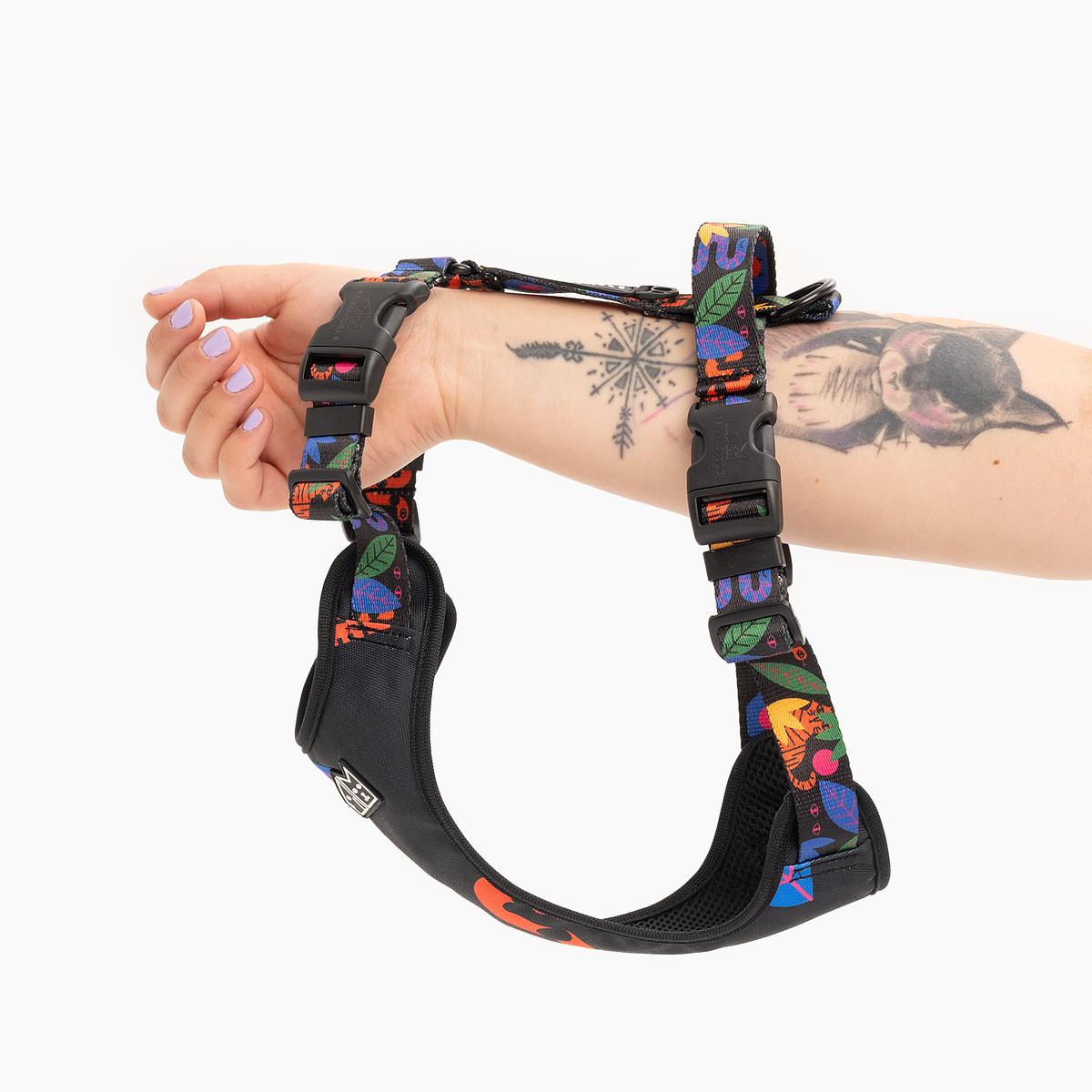 Stay-on pressure-free harness "Eye of the tiger"