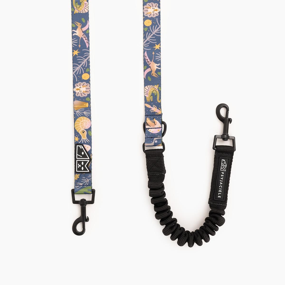 "Oh my Gad" leash with a shock absorber