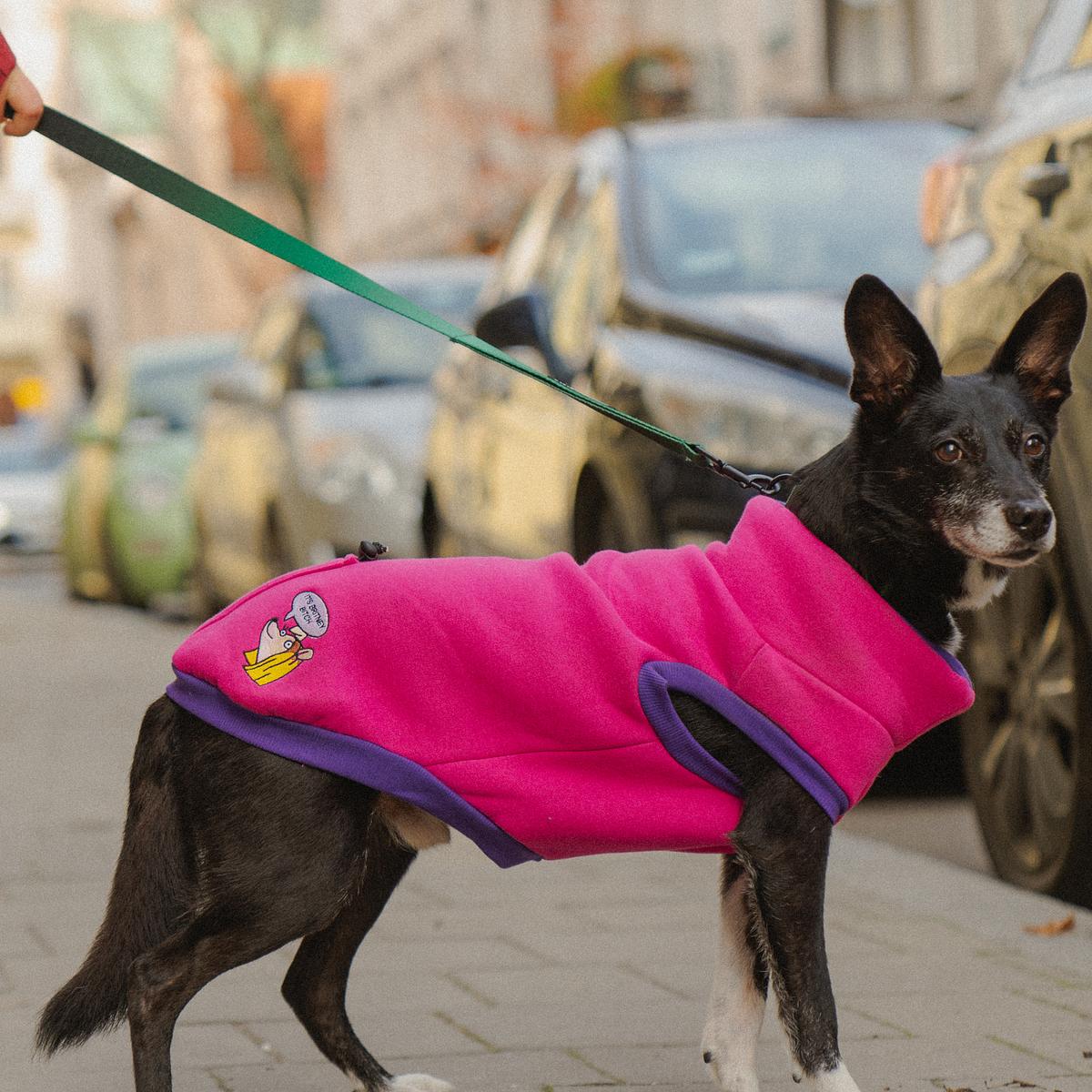 COPY OF Embroidered dog sweatshirt ‘Black’