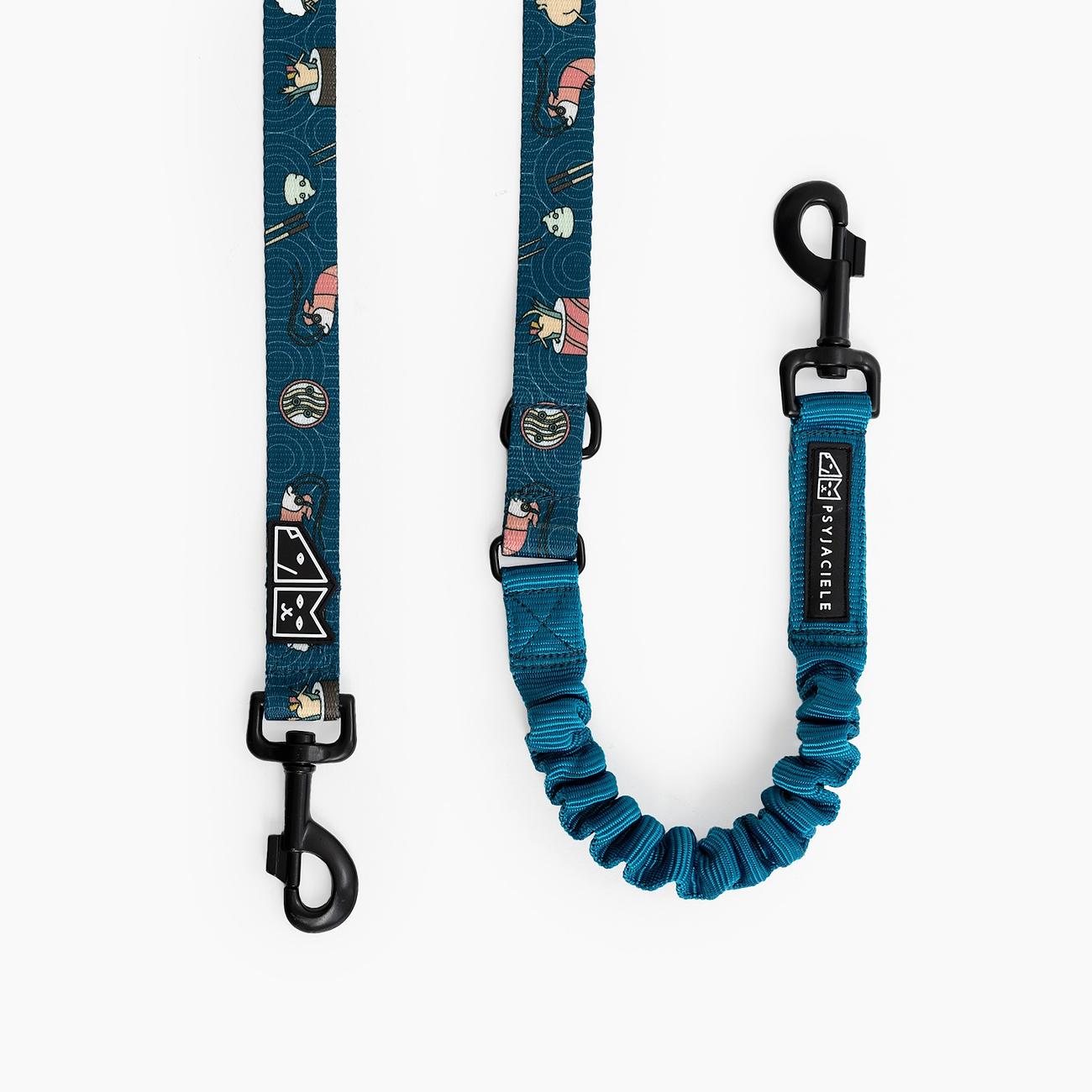 "Doggomaki" leash with a shock absorber