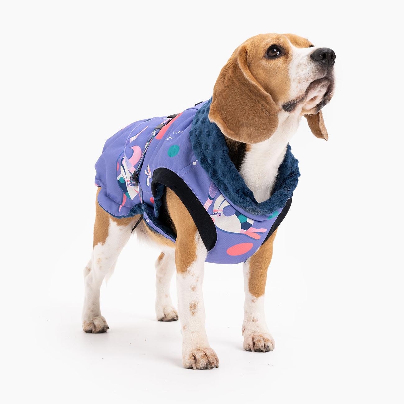 Dog jacket "Downward dog"