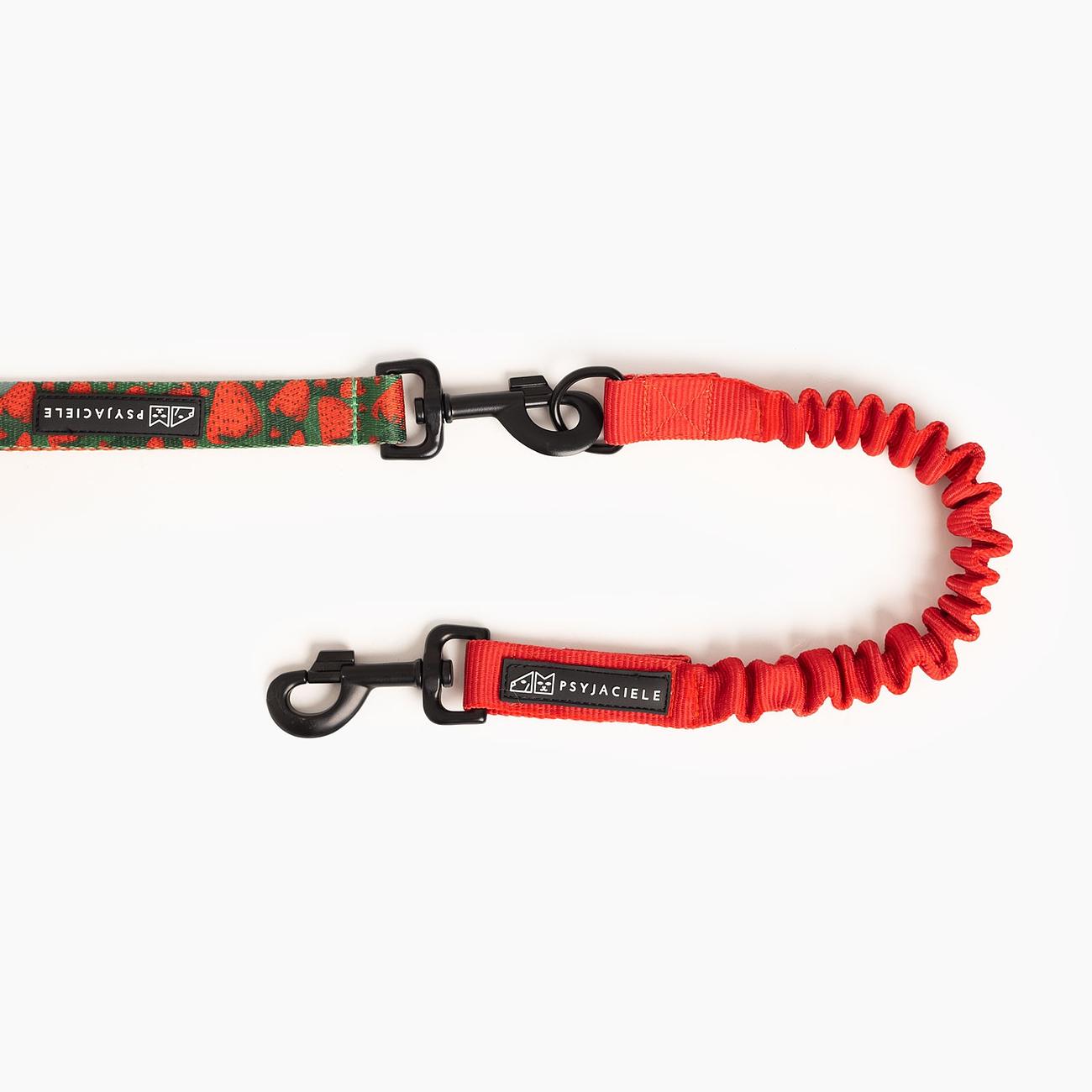 Shock absorber "Red AF"