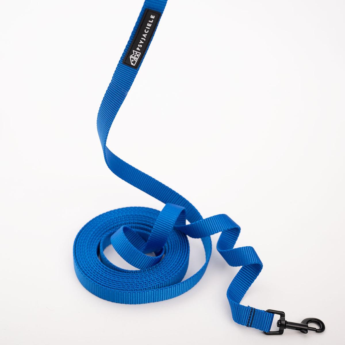 Training leash Blue AF