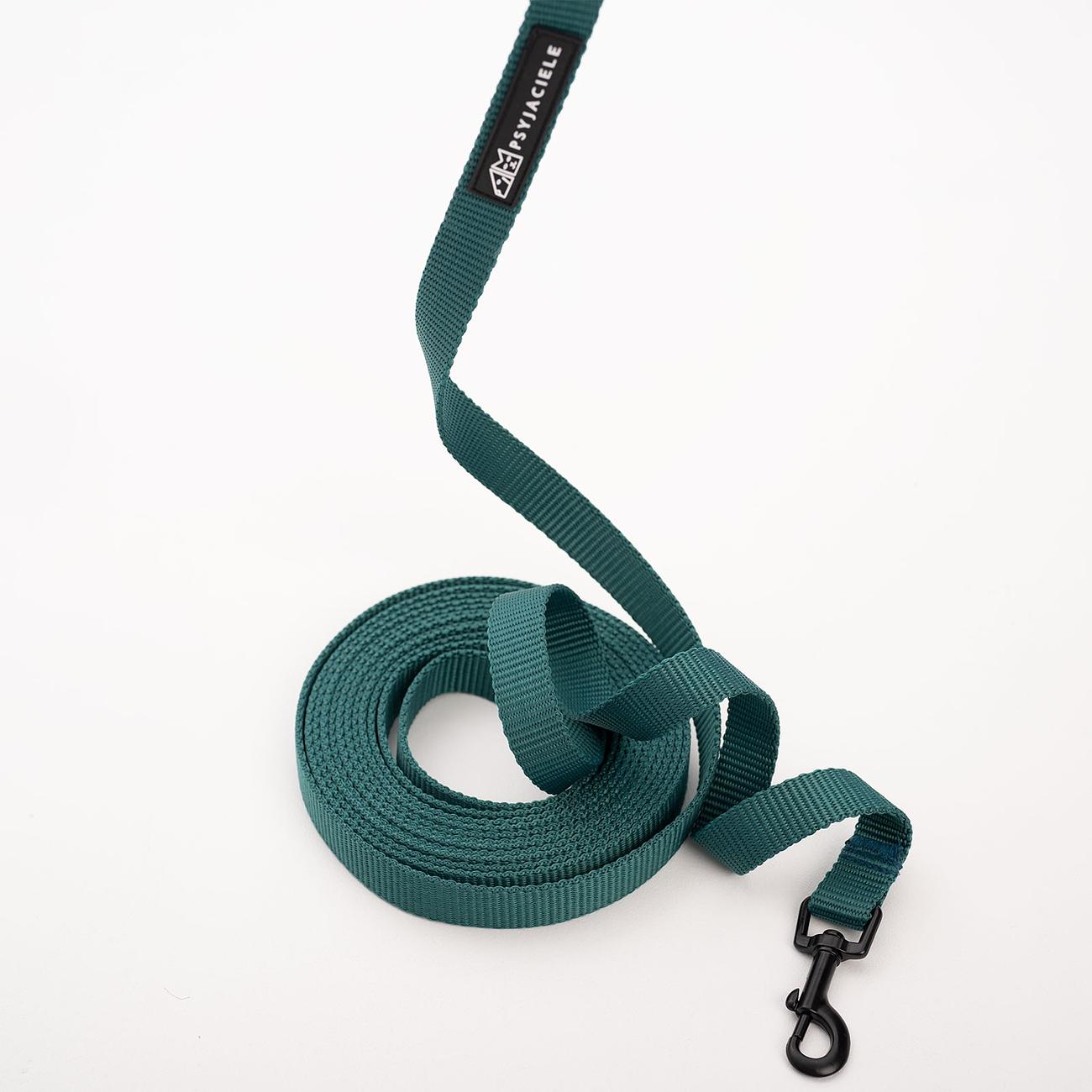 Training leash Green AF