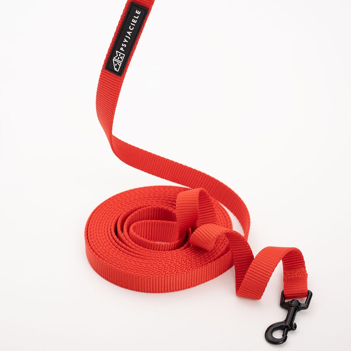 Training leash Red AF