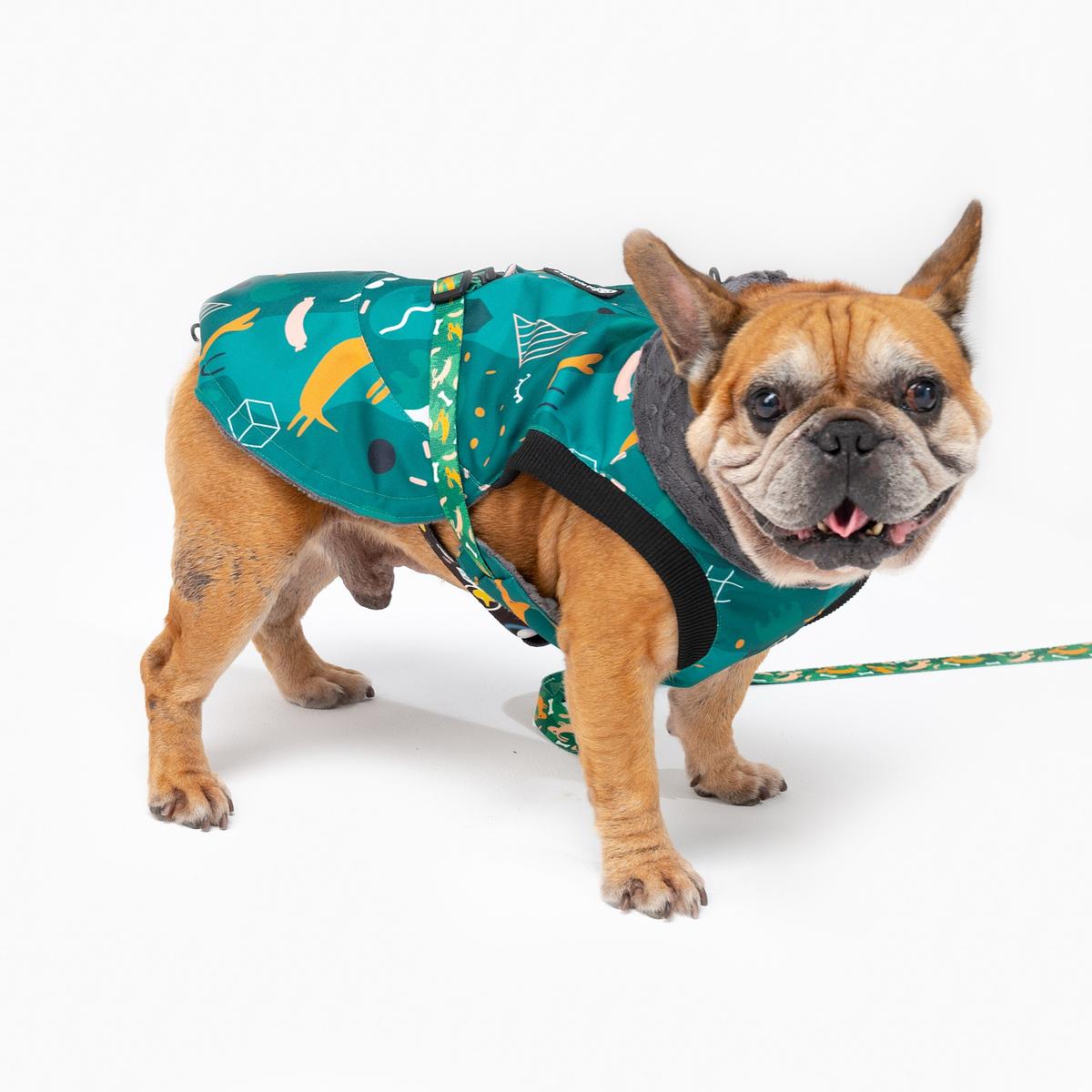 Dog jacket "Sleepy dogs"