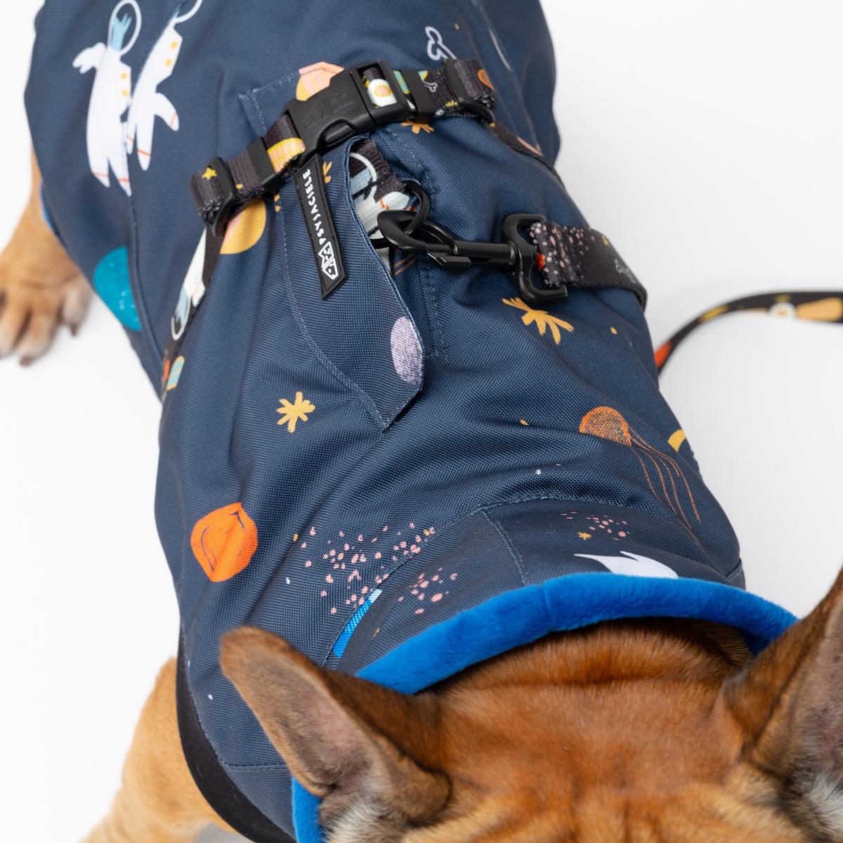 I need space dog jacket best sale