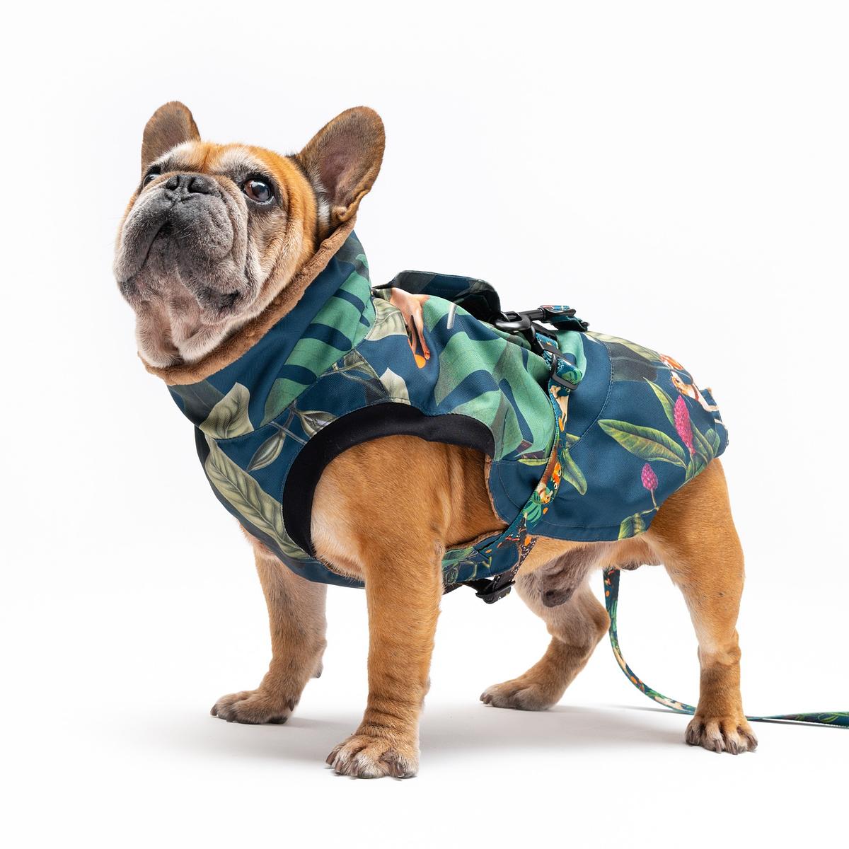 Dog jacket "Dogollage"