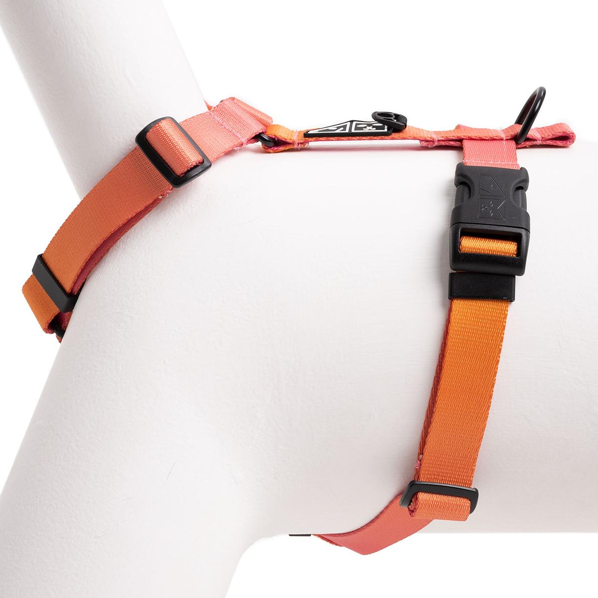 Dog or cat harness "Under my ombrella" orange 