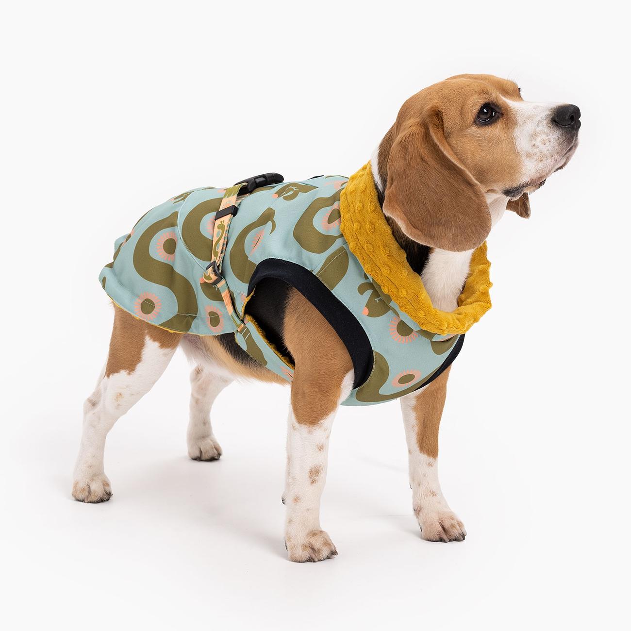 Dog jacket "Sausage dog"