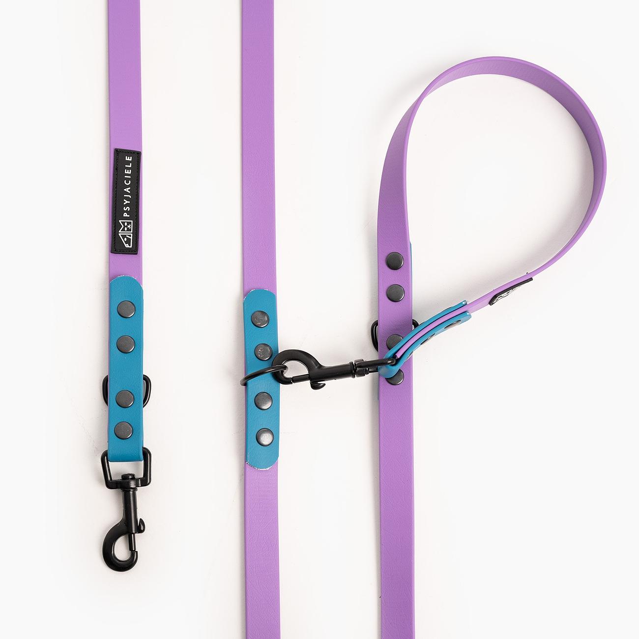 "Lilac with Turquoise" Biothane® leash