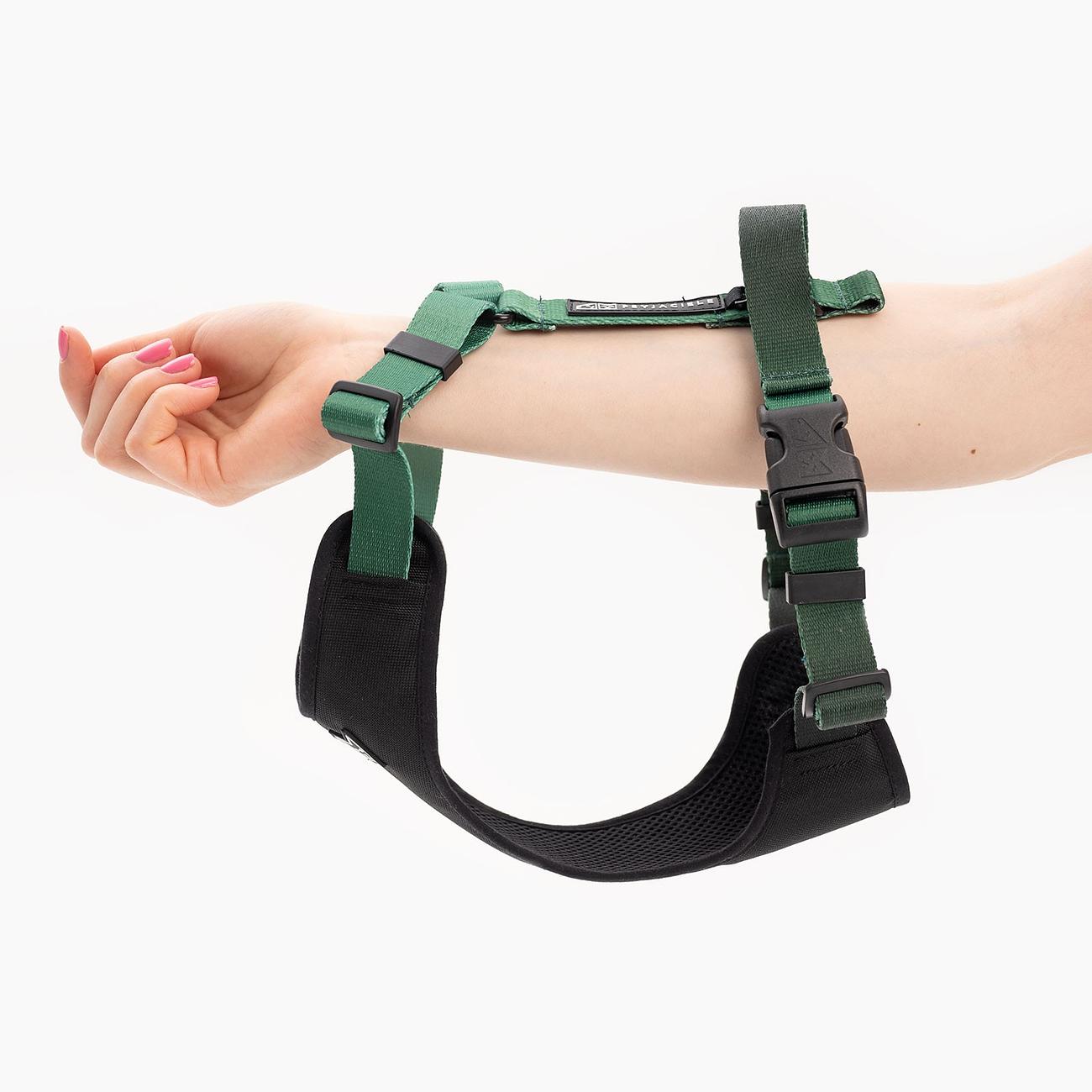 Stay-on pressure-free harness "Under my ombrella" green