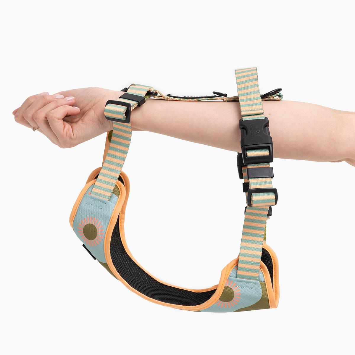 "Sausage dog" pressure-free harness