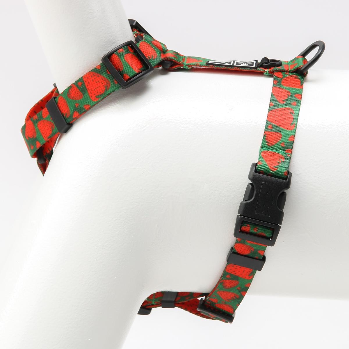 Stay-on guard harness "Strawberry Fields Forever"