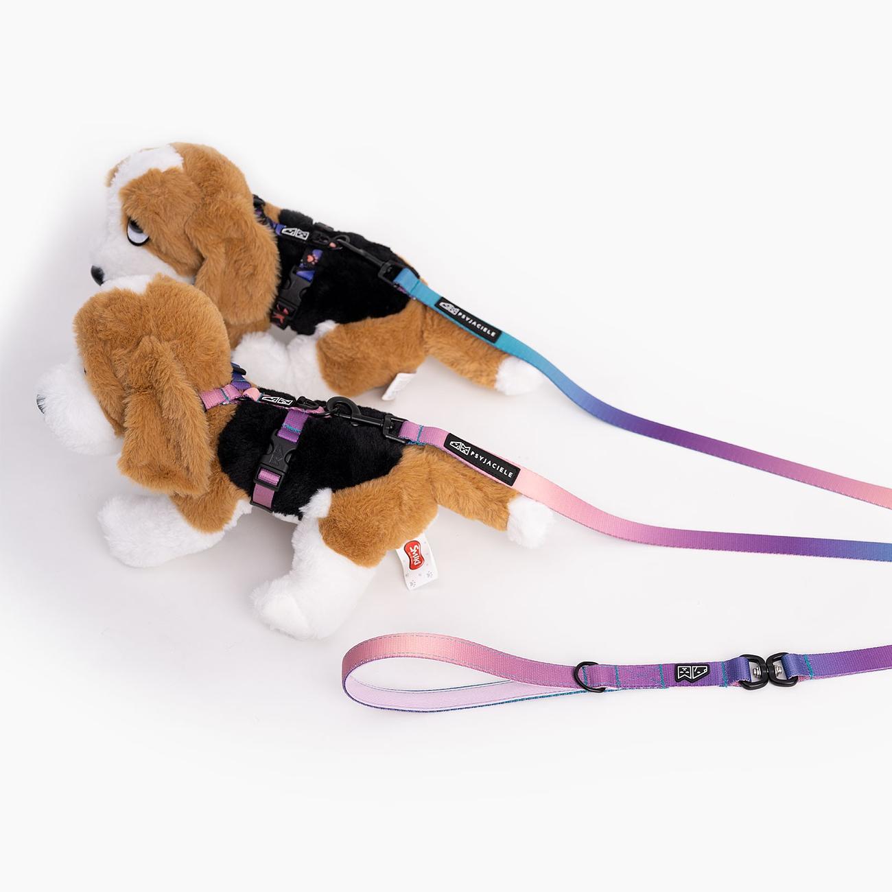 Leash for 2 medium or large dogs