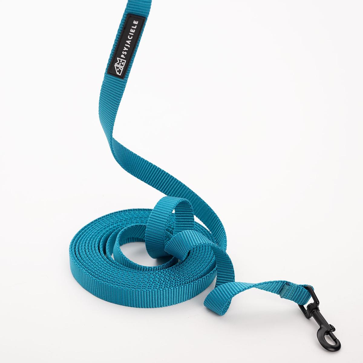 Training leash Turquoise  AF