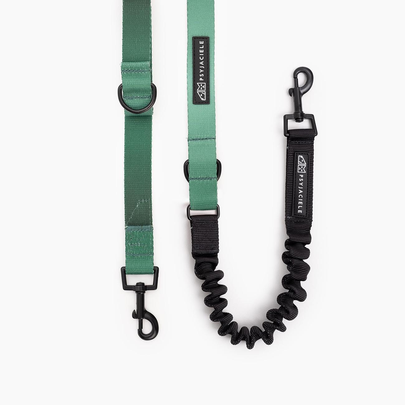 Adjustable leash with shock absorber "Under my umbrella" green 