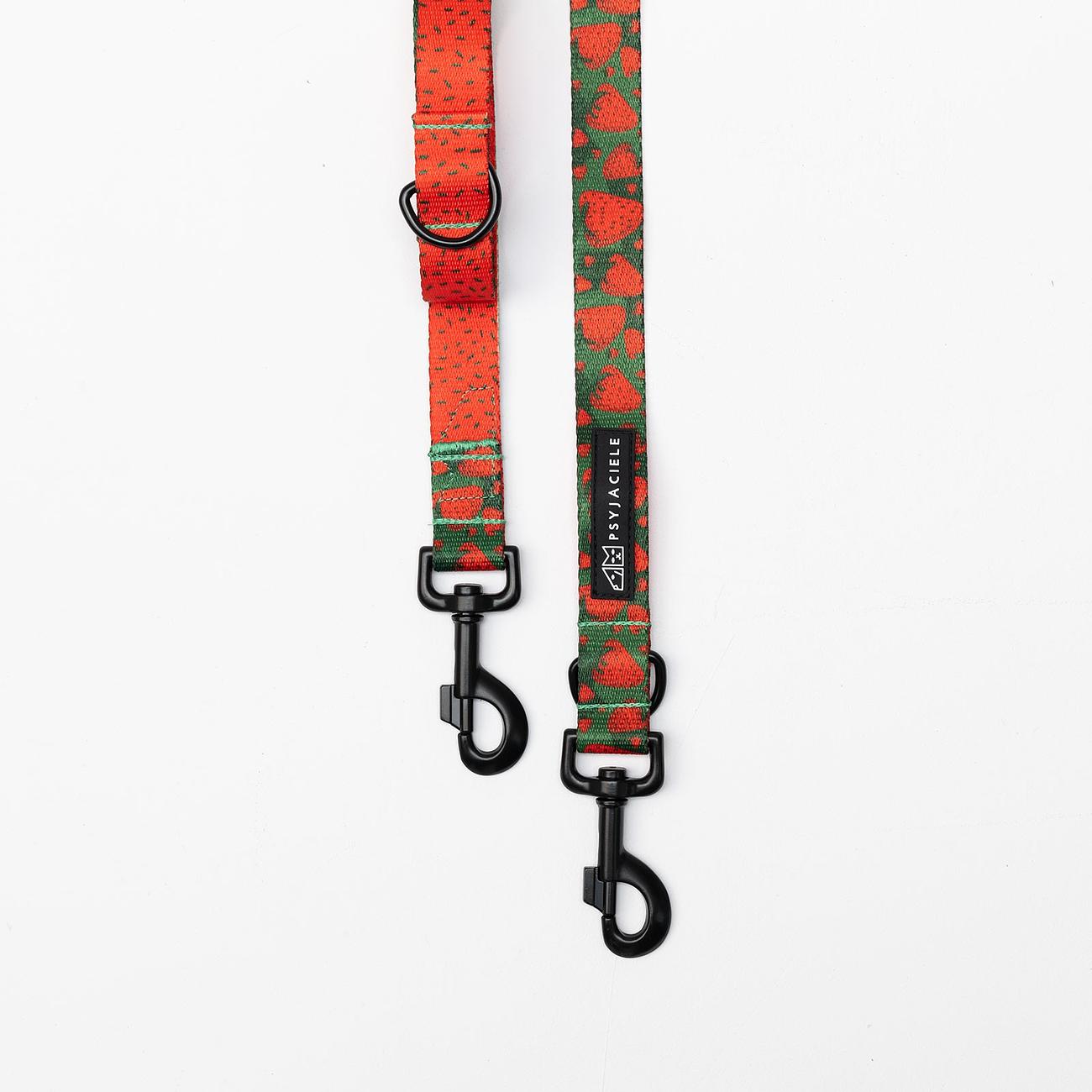 Adjustable leash "Strawberry Fields Forever" 
